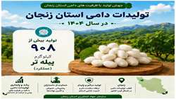 تولید پیله تر در استان زنجان